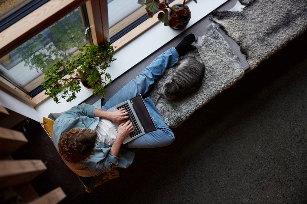 Person som använder laptop, sitter i en fönsternisch med katt