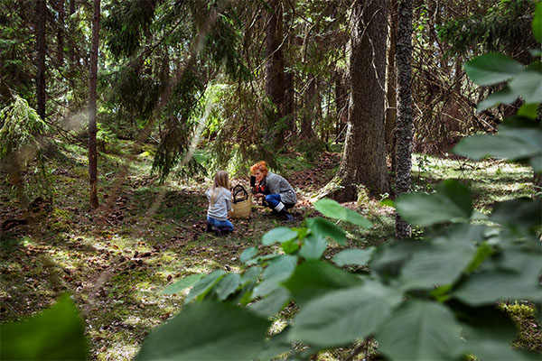Kvinna och flicka leker i skogen med mobil