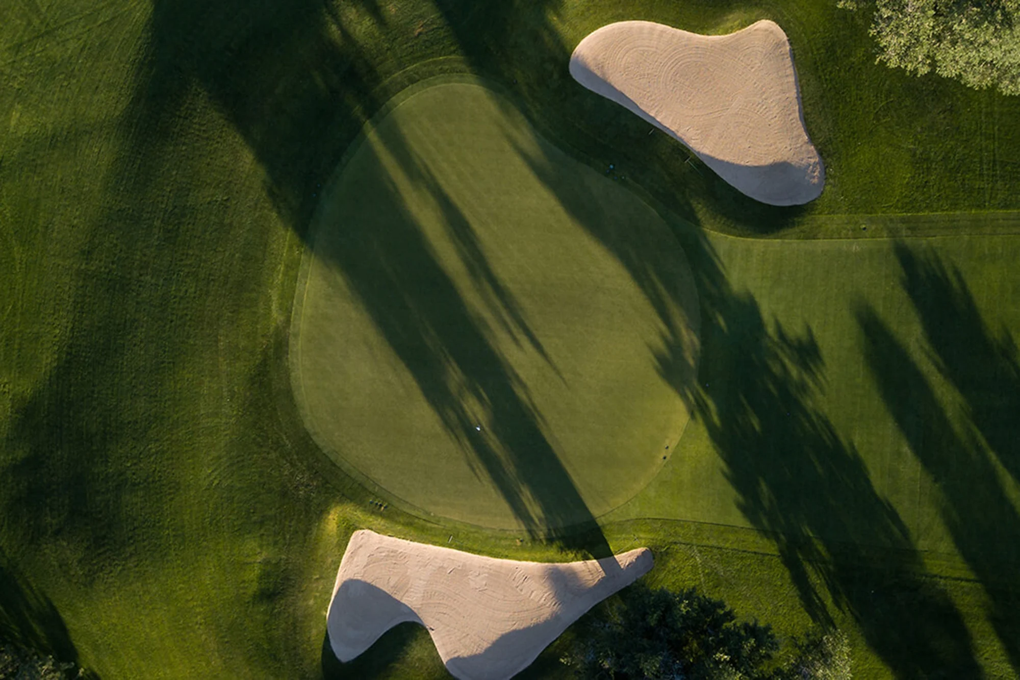 Missa inga viktiga golfturneringar under 2024 samla allt på Telia Play. 