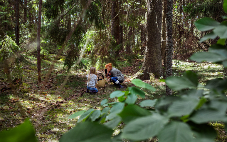 Kvinna fotar barn när de plockar svamp i skogen.