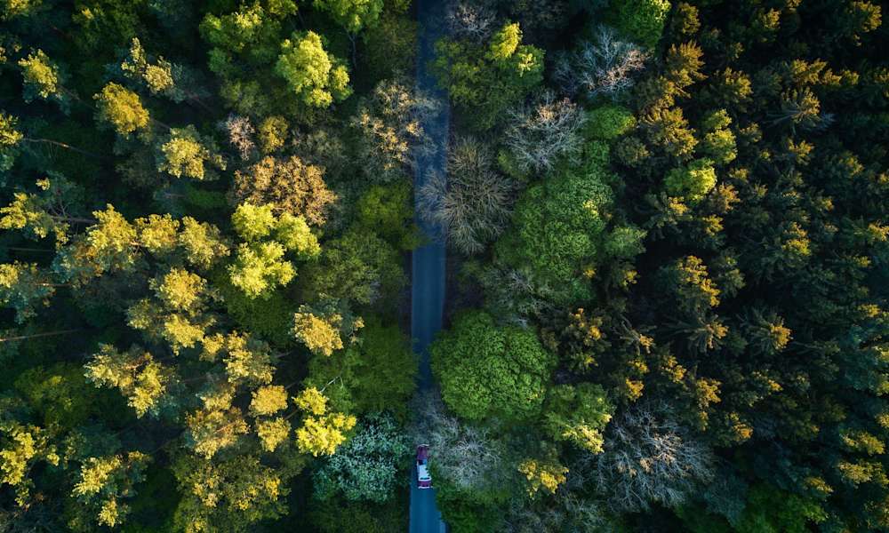 Bil på ringlande väg genom skog sett uppifrån.