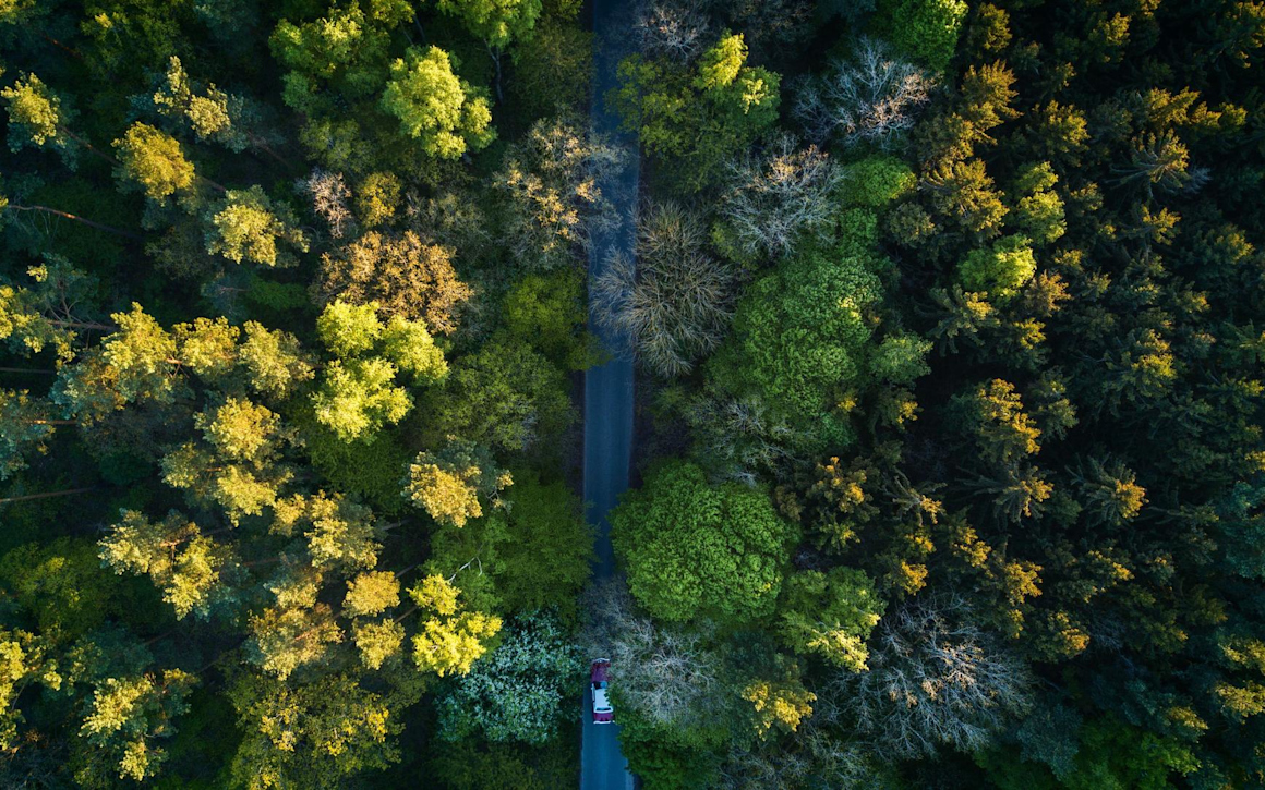 Bil på ringlande väg genom skog sett uppifrån.