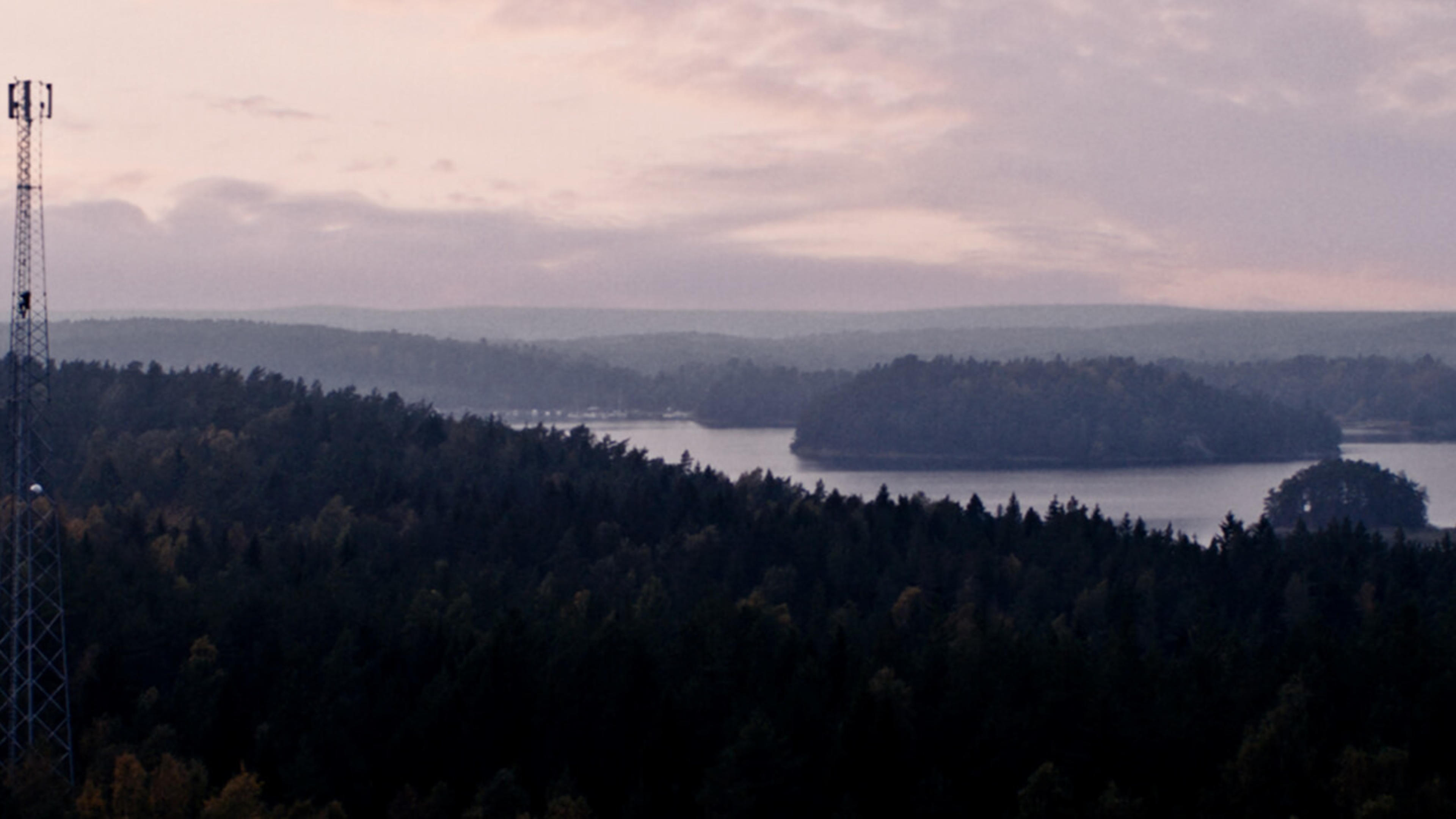 Mobilmast på en höjd i skogen.