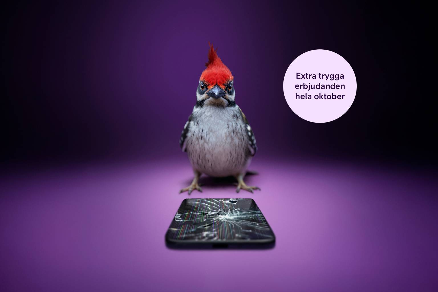 Hackspett med hackad mobil och lila bakgrund.