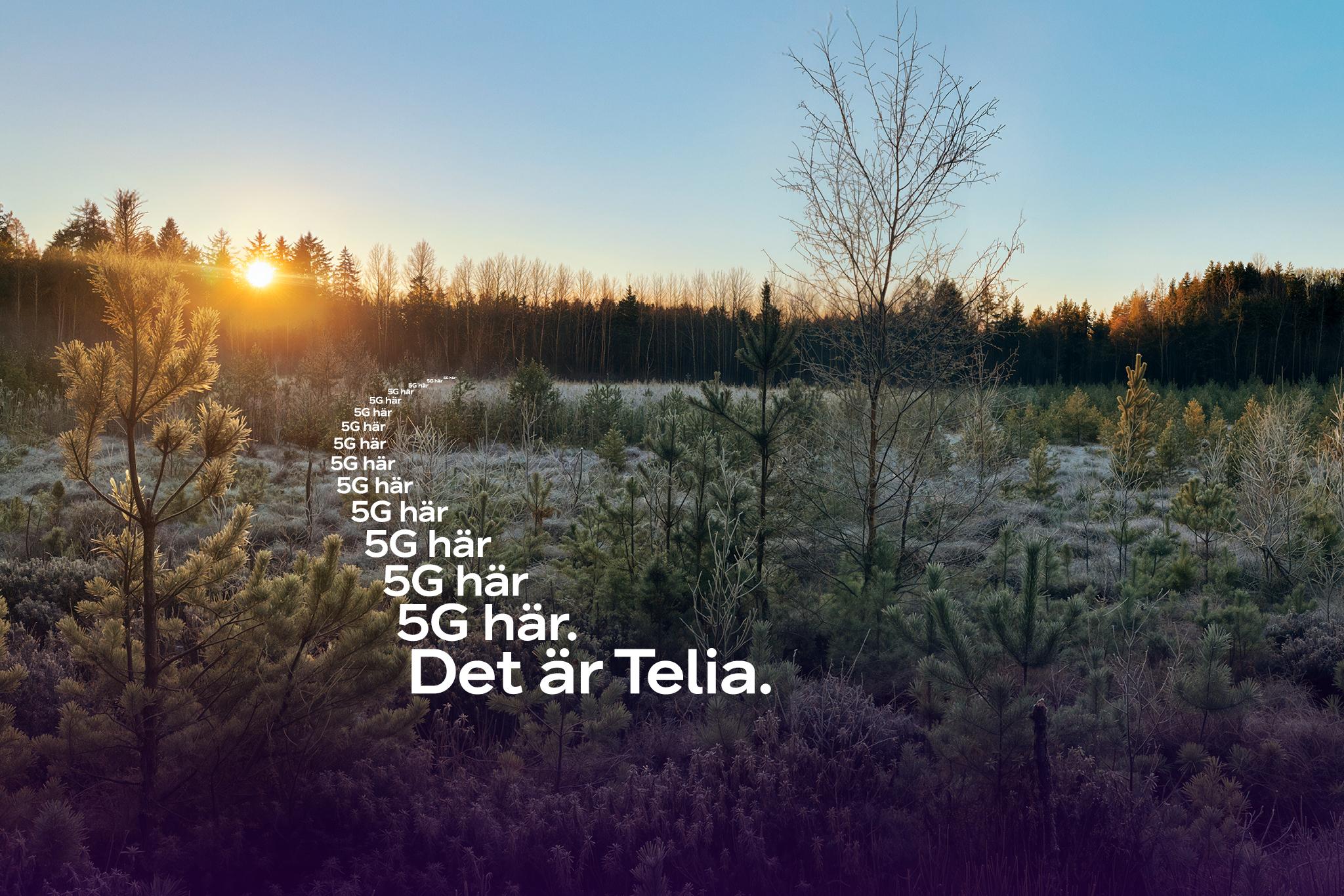 5G från Telia bland tallar och andra träd i frostigt landskap