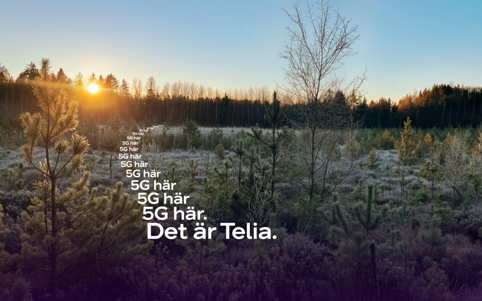 5G från Telia bland tallar och andra träd i frostigt landskap.