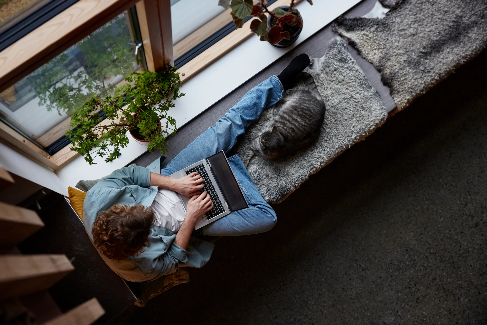 En man med en laptop i knät halvsitter vid ett fönster, bredvid honom ligger en katt.