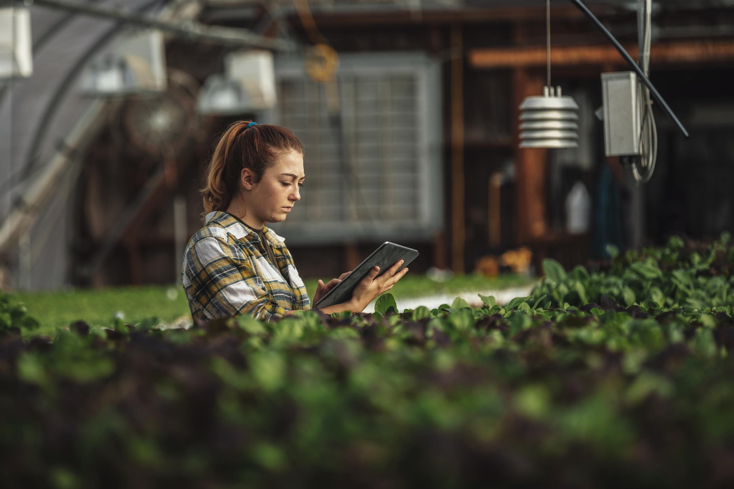 Kvinna som hanterar surfplatta i växthus