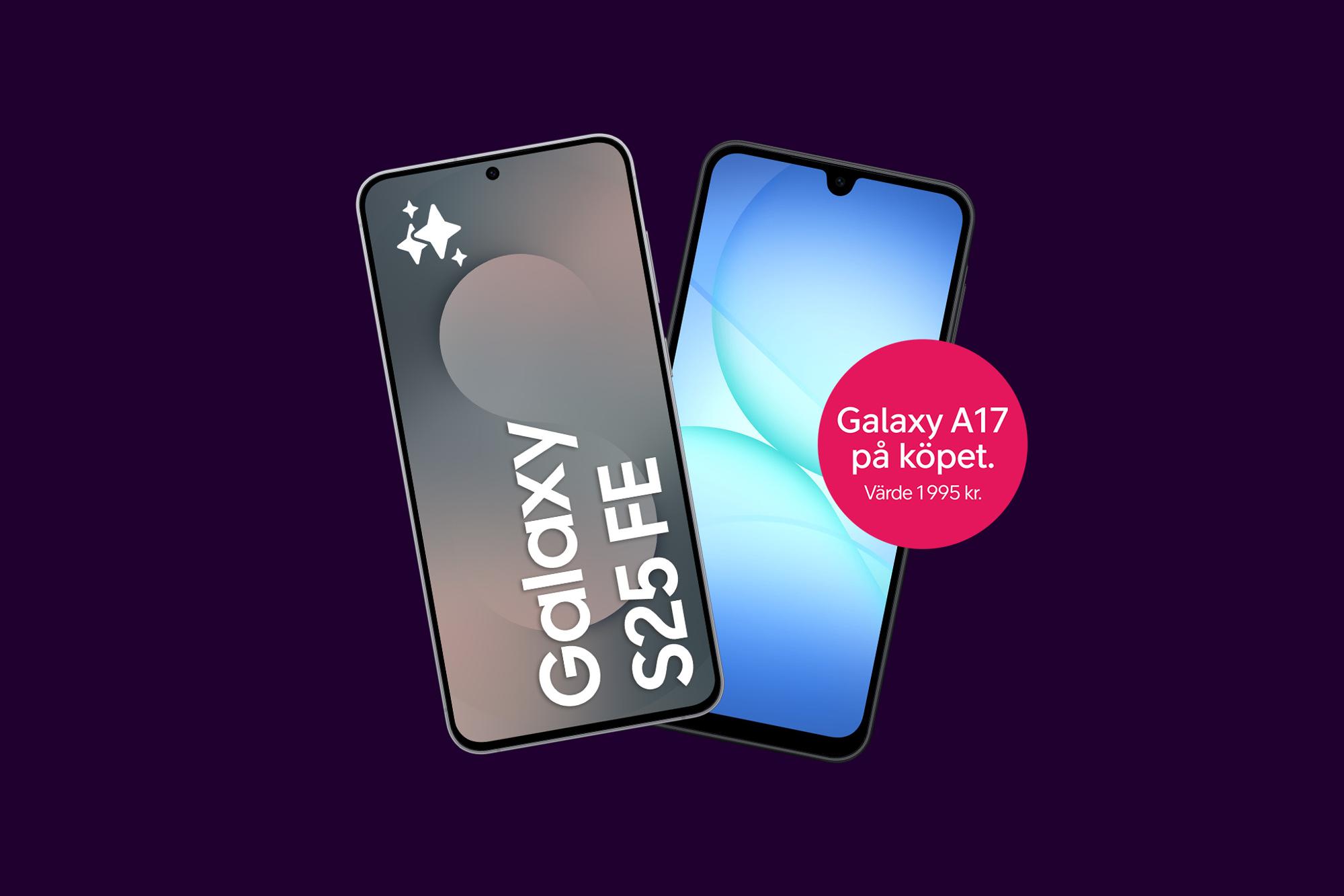 Samsung Galaxy S25 FE + Samsung Galaxy A17